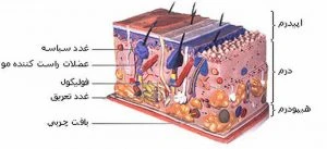 ماسک آبرسان جلبک دریایی